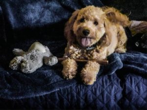 66DF9EC4 FA8F 413A AC13 D1D28742ADC8 300x225